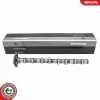 Nockenwelle Einlassseite ESEN SKV 80SKV012 Bild Nockenwelle Einlassseite ESEN SKV 80SKV012