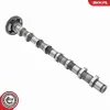 Nockenwelle Einlassseite ESEN SKV 80SKV012 Bild Nockenwelle Einlassseite ESEN SKV 80SKV012