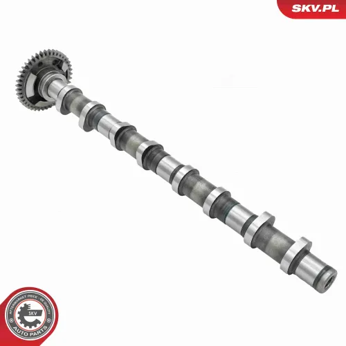 Nockenwelle Einlassseite ESEN SKV 80SKV012 Bild Nockenwelle Einlassseite ESEN SKV 80SKV012