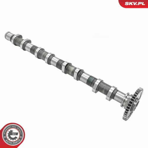 Nockenwelle Auslassseite ESEN SKV 80SKV013 Bild Nockenwelle Auslassseite ESEN SKV 80SKV013