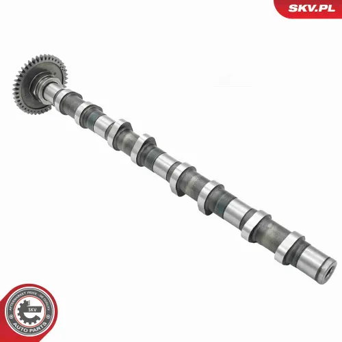 Nockenwelle Auslassseite ESEN SKV 80SKV013 Bild Nockenwelle Auslassseite ESEN SKV 80SKV013