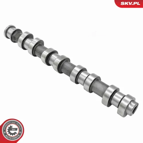 Nockenwelle Auslassseite ESEN SKV 80SKV014 Bild Nockenwelle Auslassseite ESEN SKV 80SKV014