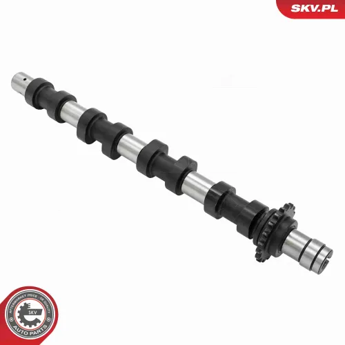 Nockenwelle Einlassseite ESEN SKV 80SKV015 Bild Nockenwelle Einlassseite ESEN SKV 80SKV015