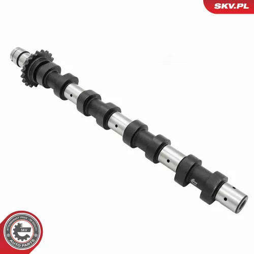 Nockenwelle Einlassseite ESEN SKV 80SKV015 Bild Nockenwelle Einlassseite ESEN SKV 80SKV015