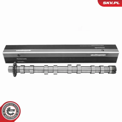 Nockenwelle Einlassseite ESEN SKV 80SKV017 Bild Nockenwelle Einlassseite ESEN SKV 80SKV017