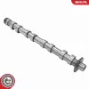 Nockenwelle Einlassseite ESEN SKV 80SKV017 Bild Nockenwelle Einlassseite ESEN SKV 80SKV017