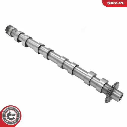 Nockenwelle Einlassseite ESEN SKV 80SKV017 Bild Nockenwelle Einlassseite ESEN SKV 80SKV017