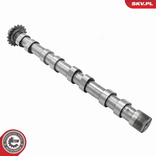 Nockenwelle Einlassseite ESEN SKV 80SKV017 Bild Nockenwelle Einlassseite ESEN SKV 80SKV017