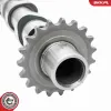 Nockenwelle Einlassseite ESEN SKV 80SKV017 Bild Nockenwelle Einlassseite ESEN SKV 80SKV017