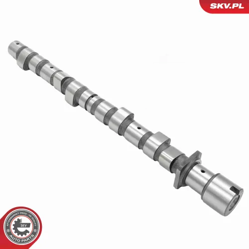 Nockenwelle ESEN SKV 80SKV019 Bild Nockenwelle ESEN SKV 80SKV019