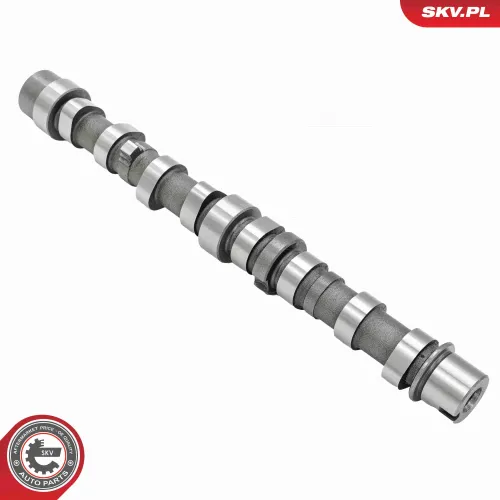 Nockenwelle Auslassseite ESEN SKV 80SKV020 Bild Nockenwelle Auslassseite ESEN SKV 80SKV020