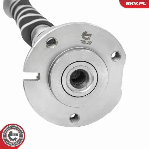 Nockenwelle Einlassseite ESEN SKV 80SKV022 Bild Nockenwelle Einlassseite ESEN SKV 80SKV022