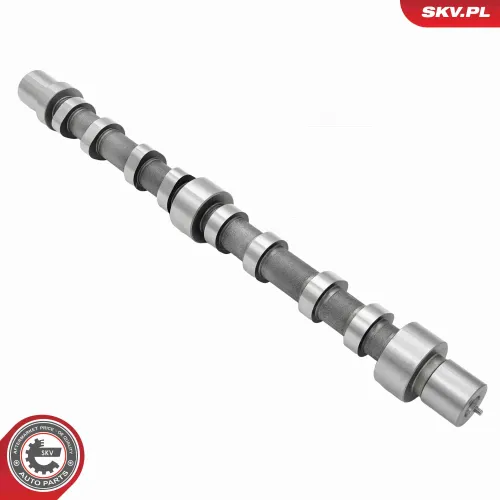 Nockenwelle Einlassseite ESEN SKV 80SKV024 Bild Nockenwelle Einlassseite ESEN SKV 80SKV024