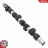 Nockenwelle ESEN SKV 80SKV028 Bild Nockenwelle ESEN SKV 80SKV028