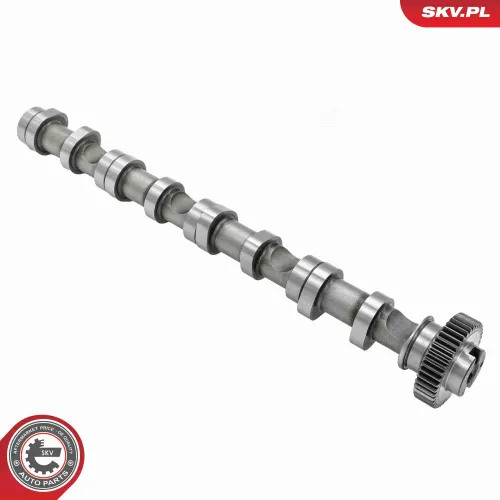 Nockenwelle Einlassseite ESEN SKV 80SKV031 Bild Nockenwelle Einlassseite ESEN SKV 80SKV031