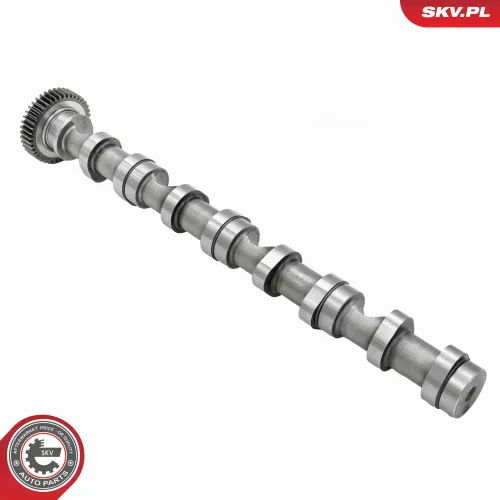 Nockenwelle Einlassseite ESEN SKV 80SKV031 Bild Nockenwelle Einlassseite ESEN SKV 80SKV031