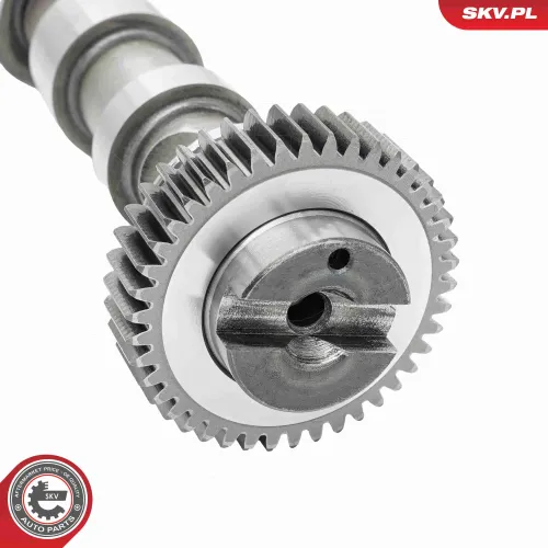 Nockenwelle Einlassseite ESEN SKV 80SKV031 Bild Nockenwelle Einlassseite ESEN SKV 80SKV031