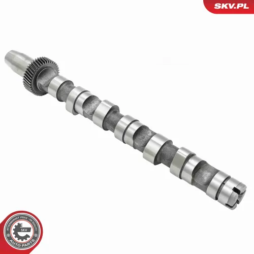 Nockenwelle Einlassseite ESEN SKV 80SKV032 Bild Nockenwelle Einlassseite ESEN SKV 80SKV032