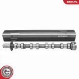 Nockenwelle Auslassseite ESEN SKV 80SKV041