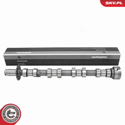 Nockenwelle Auslassseite ESEN SKV 80SKV041 Bild Nockenwelle Auslassseite ESEN SKV 80SKV041