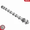 Nockenwelle Einlassseite ESEN SKV 80SKV044 Bild Nockenwelle Einlassseite ESEN SKV 80SKV044