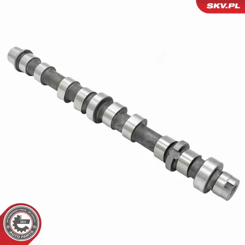 Nockenwelle Auslassseite ESEN SKV 80SKV048 Bild Nockenwelle Auslassseite ESEN SKV 80SKV048