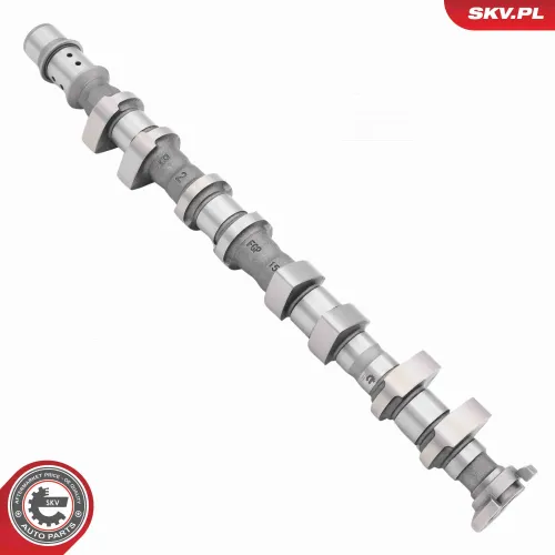 Nockenwelle Einlassseite ESEN SKV 80SKV049 Bild Nockenwelle Einlassseite ESEN SKV 80SKV049