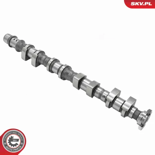 Nockenwelle Auslassseite ESEN SKV 80SKV050 Bild Nockenwelle Auslassseite ESEN SKV 80SKV050