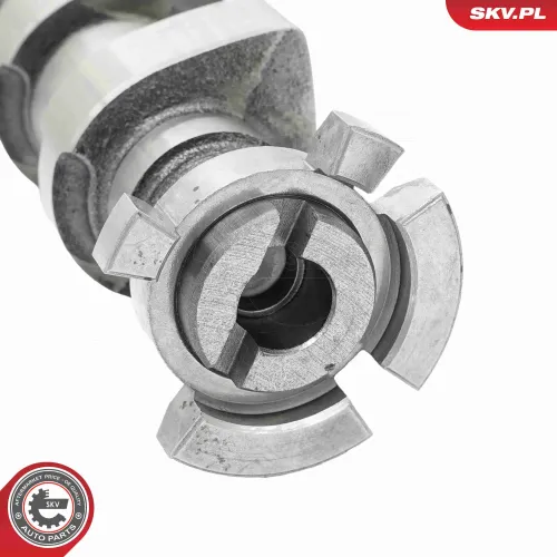 Nockenwelle Auslassseite ESEN SKV 80SKV050 Bild Nockenwelle Auslassseite ESEN SKV 80SKV050