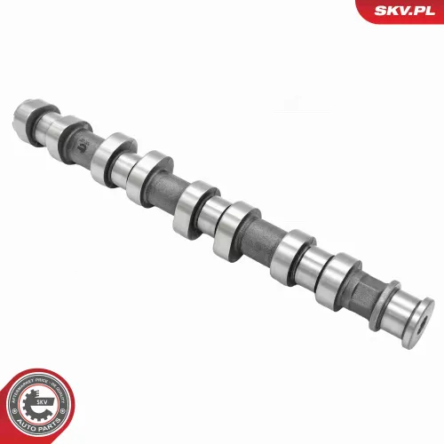 Nockenwelle Einlassseite ESEN SKV 80SKV053 Bild Nockenwelle Einlassseite ESEN SKV 80SKV053