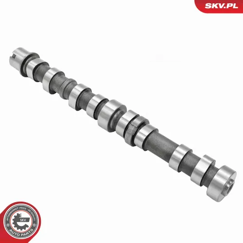 Nockenwelle Einlassseite ESEN SKV 80SKV067 Bild Nockenwelle Einlassseite ESEN SKV 80SKV067