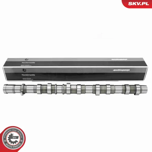 Nockenwelle Einlassseite ESEN SKV 80SKV069 Bild Nockenwelle Einlassseite ESEN SKV 80SKV069