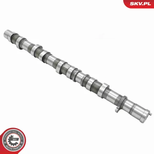 Nockenwelle Einlassseite ESEN SKV 80SKV069 Bild Nockenwelle Einlassseite ESEN SKV 80SKV069