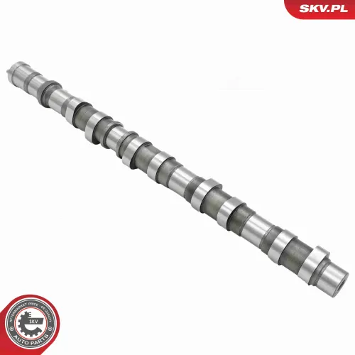 Nockenwelle Einlassseite ESEN SKV 80SKV069 Bild Nockenwelle Einlassseite ESEN SKV 80SKV069