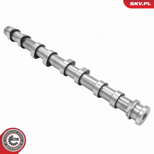 Nockenwelle Auslassseite ESEN SKV 80SKV070 Bild Nockenwelle Auslassseite ESEN SKV 80SKV070