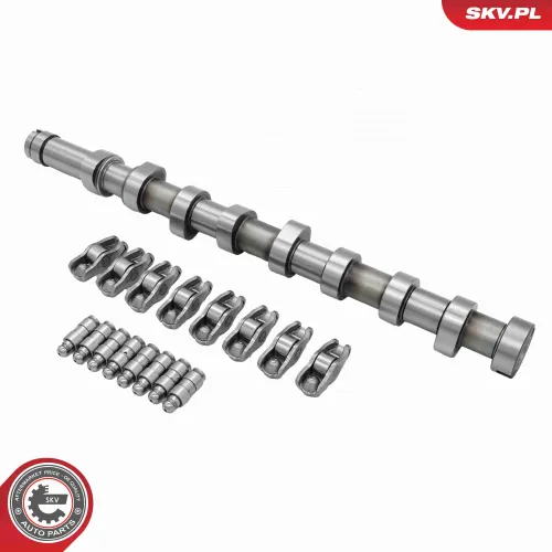 Nockenwellensatz ESEN SKV 80SKV300 Bild Nockenwellensatz ESEN SKV 80SKV300