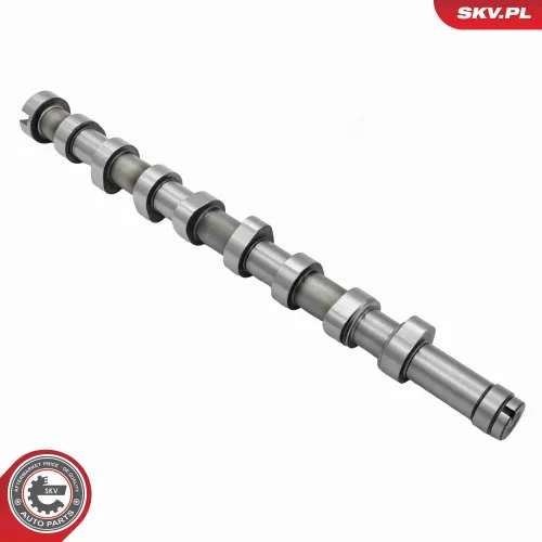 Nockenwellensatz ESEN SKV 80SKV300 Bild Nockenwellensatz ESEN SKV 80SKV300