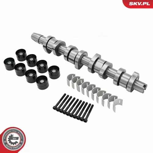 Nockenwellensatz ESEN SKV 80SKV302 Bild Nockenwellensatz ESEN SKV 80SKV302