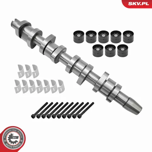 Nockenwellensatz ESEN SKV 80SKV303 Bild Nockenwellensatz ESEN SKV 80SKV303