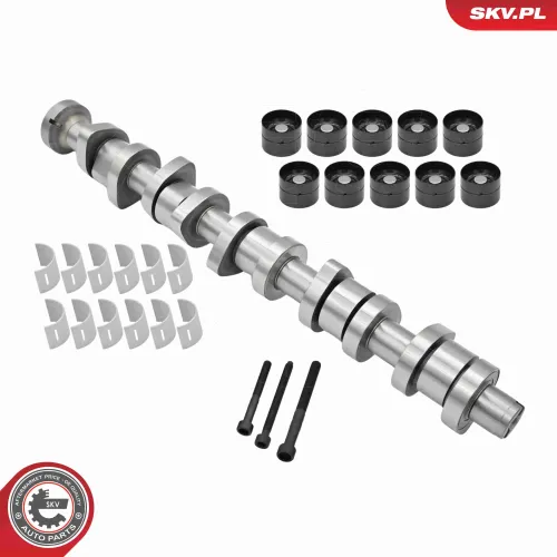 Nockenwellensatz ESEN SKV 80SKV304 Bild Nockenwellensatz ESEN SKV 80SKV304