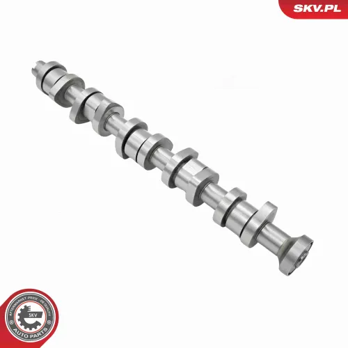 Nockenwellensatz ESEN SKV 80SKV304 Bild Nockenwellensatz ESEN SKV 80SKV304