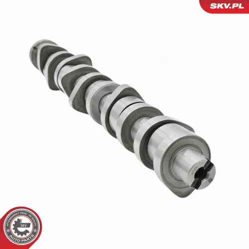 Nockenwellensatz ESEN SKV 80SKV304 Bild Nockenwellensatz ESEN SKV 80SKV304
