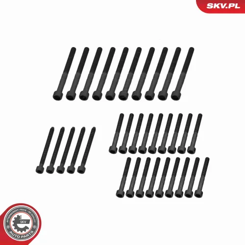 Nockenwellensatz ESEN SKV 80SKV304 Bild Nockenwellensatz ESEN SKV 80SKV304