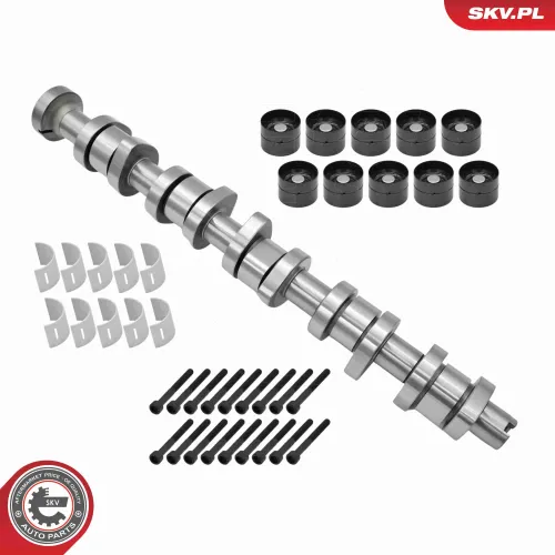 Nockenwellensatz ESEN SKV 80SKV305 Bild Nockenwellensatz ESEN SKV 80SKV305