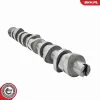 Nockenwellensatz ESEN SKV 80SKV305 Bild Nockenwellensatz ESEN SKV 80SKV305