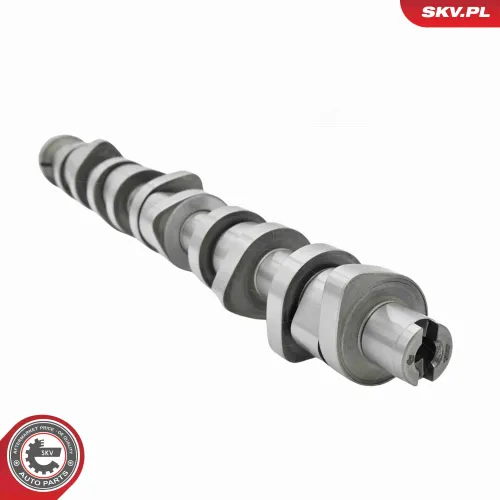 Nockenwellensatz ESEN SKV 80SKV305 Bild Nockenwellensatz ESEN SKV 80SKV305
