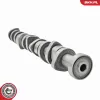 Nockenwellensatz ESEN SKV 80SKV305 Bild Nockenwellensatz ESEN SKV 80SKV305
