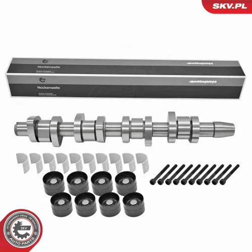 Nockenwellensatz ESEN SKV 80SKV306 Bild Nockenwellensatz ESEN SKV 80SKV306