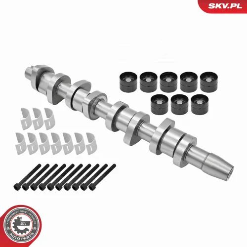 Nockenwellensatz ESEN SKV 80SKV306 Bild Nockenwellensatz ESEN SKV 80SKV306
