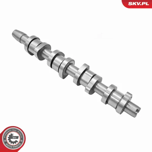 Nockenwellensatz ESEN SKV 80SKV306 Bild Nockenwellensatz ESEN SKV 80SKV306